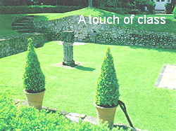 Photograph of an ornamental lawn